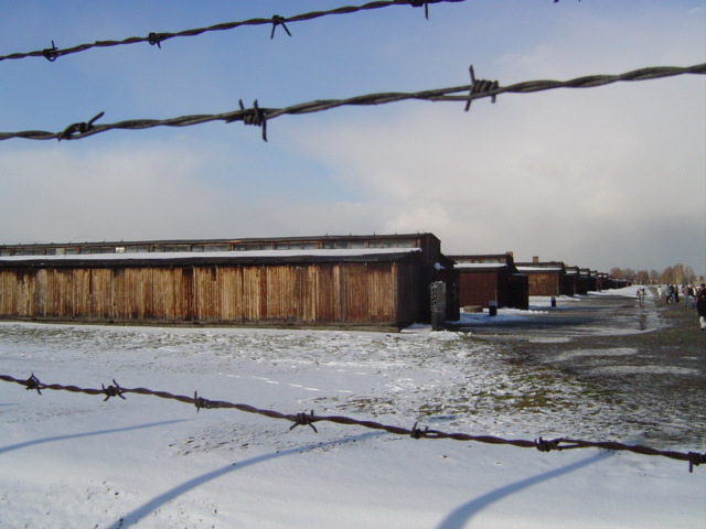 vue du camp de Birkenau et des baraquements